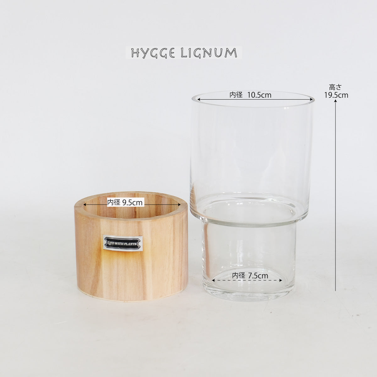 テラリウム Hygge Lignum フラワーベース飾り ガラスガラスケース 径12cm高さ20cm
