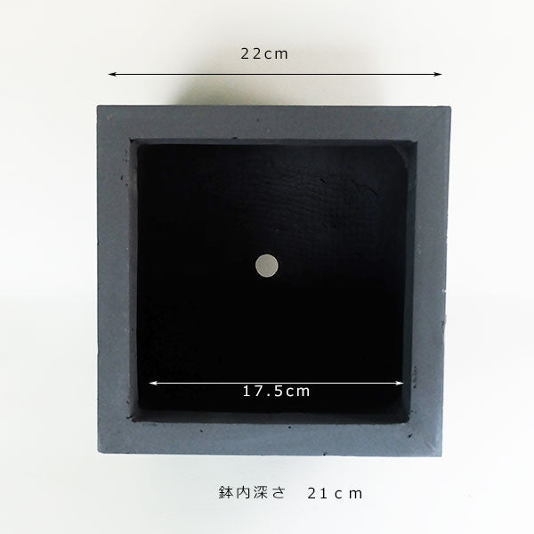 植木鉢 おしゃれ ベータ キューブプランター23 プランター ファイバークレイ 幅22cｍ奥22cm 高さ22cm KONTON