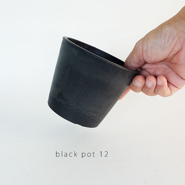 植木鉢 ブラックポット12 black plastic pot 径12cm 高さ10cm black plastic pot 4号 アガベ コーデックス サボテン