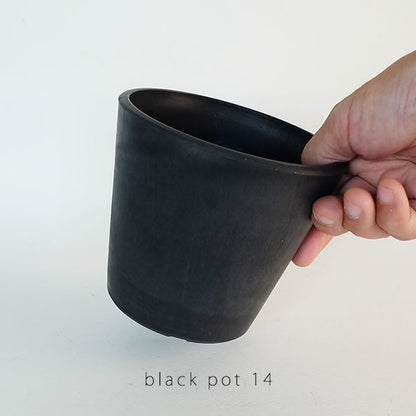 黒プラ鉢  ブラックポット 14 サボテン 頑丈 おしゃれ植木鉢 塊根植物 多肉 黒プラスチック鉢 コーデックス black plastic pot 径14cm 高さ12cm