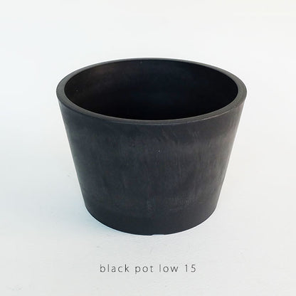 黒プラ鉢 ブラックポット ロータイプ15 サボテン 頑丈 おしゃれ 塊根植物 多肉 黒プラスチック鉢 コーデックス アガベ 径15cm 高さ10cm 浅鉢