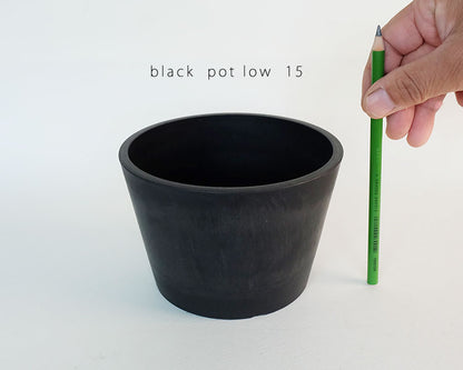 黒プラ鉢 ブラックポット ロータイプ15 サボテン 頑丈 おしゃれ 塊根植物 多肉 黒プラスチック鉢 コーデックス アガベ 径15cm 高さ10cm 浅鉢