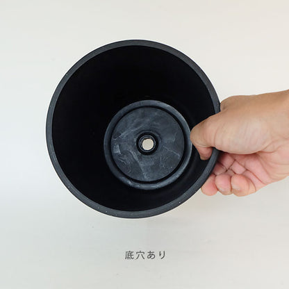 植木鉢 ブラックポット17 black plastic pot 頑丈 おしゃれ 塊根植物 多肉 黒プラスチック鉢 径17cm 高さ13.5cm スタンダード