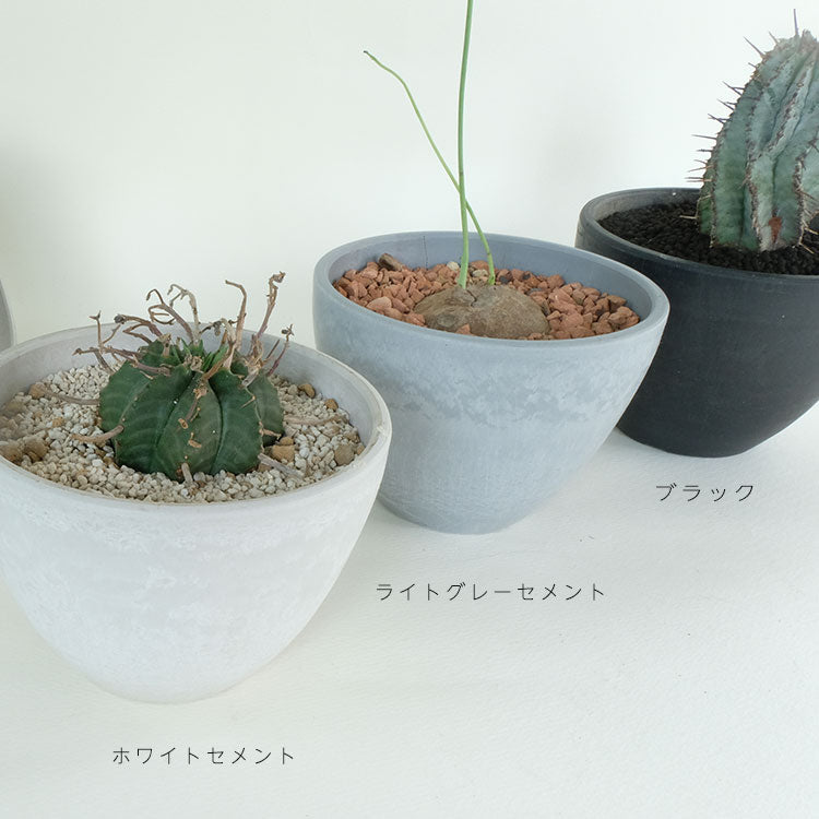 植木鉢 プラポット bowl 10 black plastic pot 径10.5cm 高さ8cm 3号 ホワイト ライトグレー アガベ コーデックス サボテン