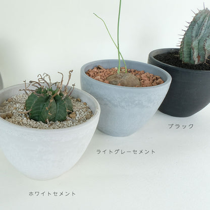 植木鉢 プラポット bowl 10 black plastic pot 径10.5cm 高さ8cm 3号 ホワイト ライトグレー アガベ コーデックス サボテン
