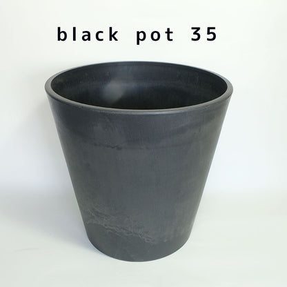植木鉢 ブラックポット35 black plastic pot 径35cm 高さ34cm スタンダード