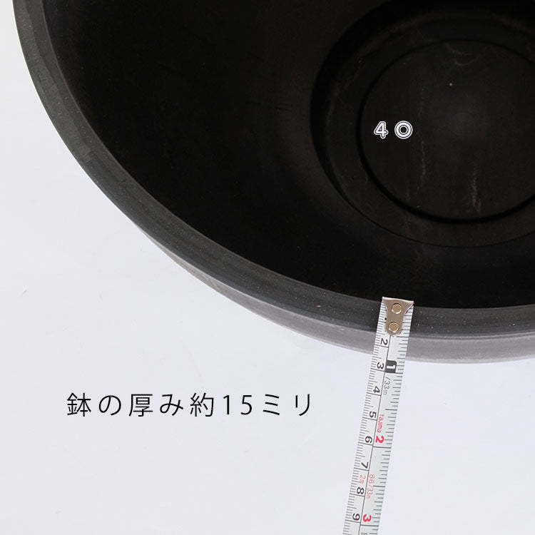 植木鉢 ブラックポット タフbowl 40 サボテン 頑丈 睡蓮鉢 塊根植物 多肉 黒鉢 コーデックス