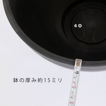 植木鉢 ブラックポット タフbowl 40 サボテン 頑丈 睡蓮鉢 塊根植物 多肉 黒鉢 コーデックス