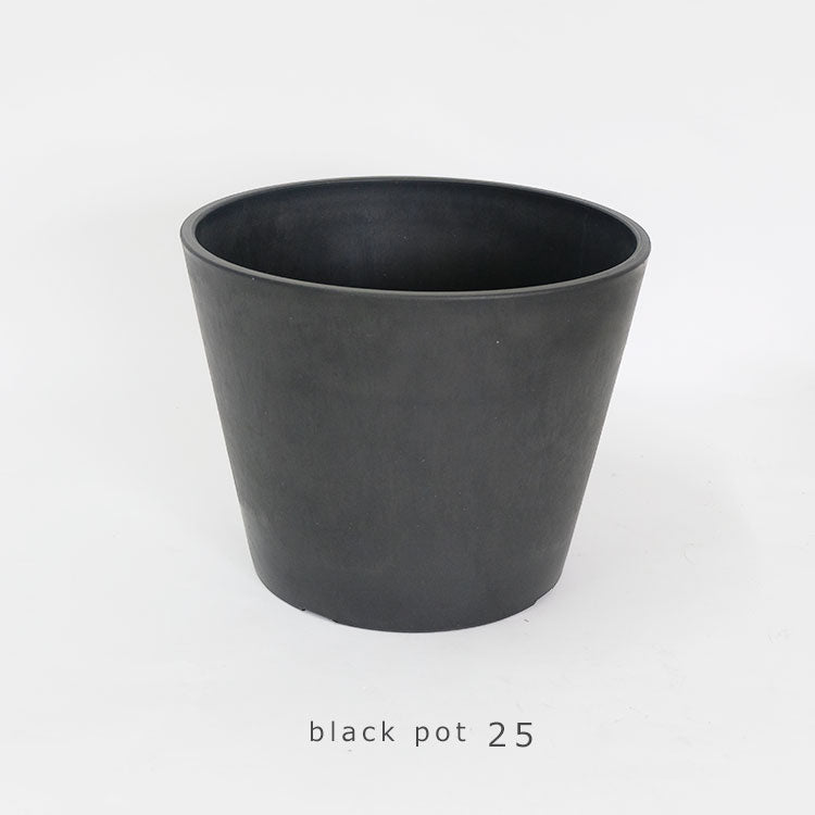 植木鉢 ブラックポット 25 サボテン 頑丈 おしゃれ 塊根植物 多肉植物 黒プラスチック鉢 black plastic pot 径25.5cm 高さ20cm