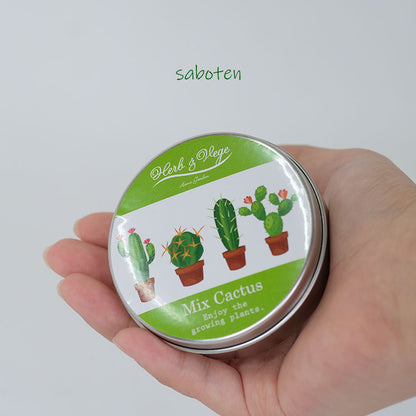 【メール便送料無料】  サボテン 缶栽培セットミックス種 さぼてん カクタス
