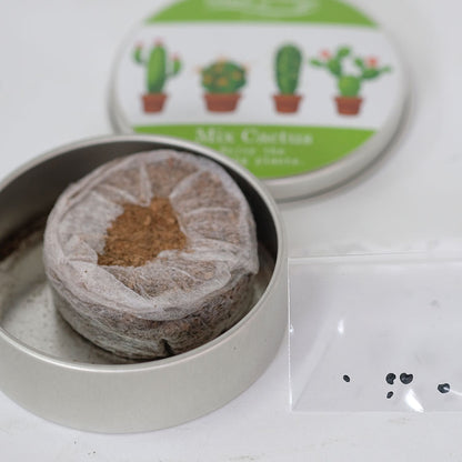 【メール便送料無料】  サボテン 缶栽培セットミックス種 さぼてん カクタス