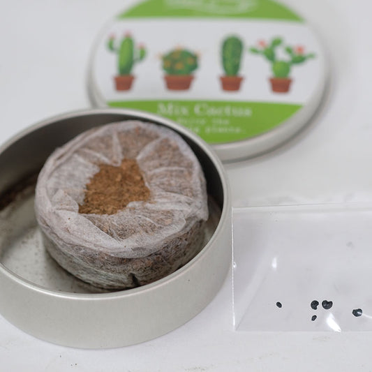 【メール便送料無料】  サボテン 缶栽培セットミックス種 さぼてん カクタス