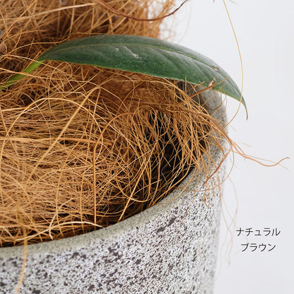 ココファイバー100g 鉢カバー マルチング おしゃれ 自然 ブラウン ベージュ