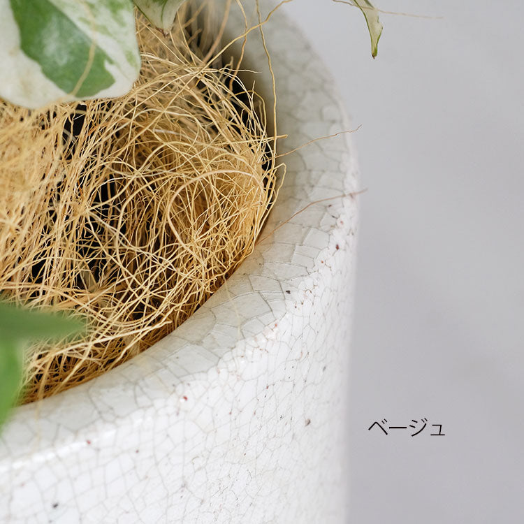 ココファイバー100g 鉢カバー マルチング おしゃれ 自然 ブラウン ベージュ