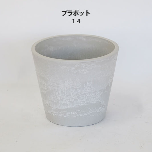 プラ鉢  ホワイトポット 14 サボテン 頑丈 おしゃれ 塊根植物 多肉 プラスチック鉢 コーデックス