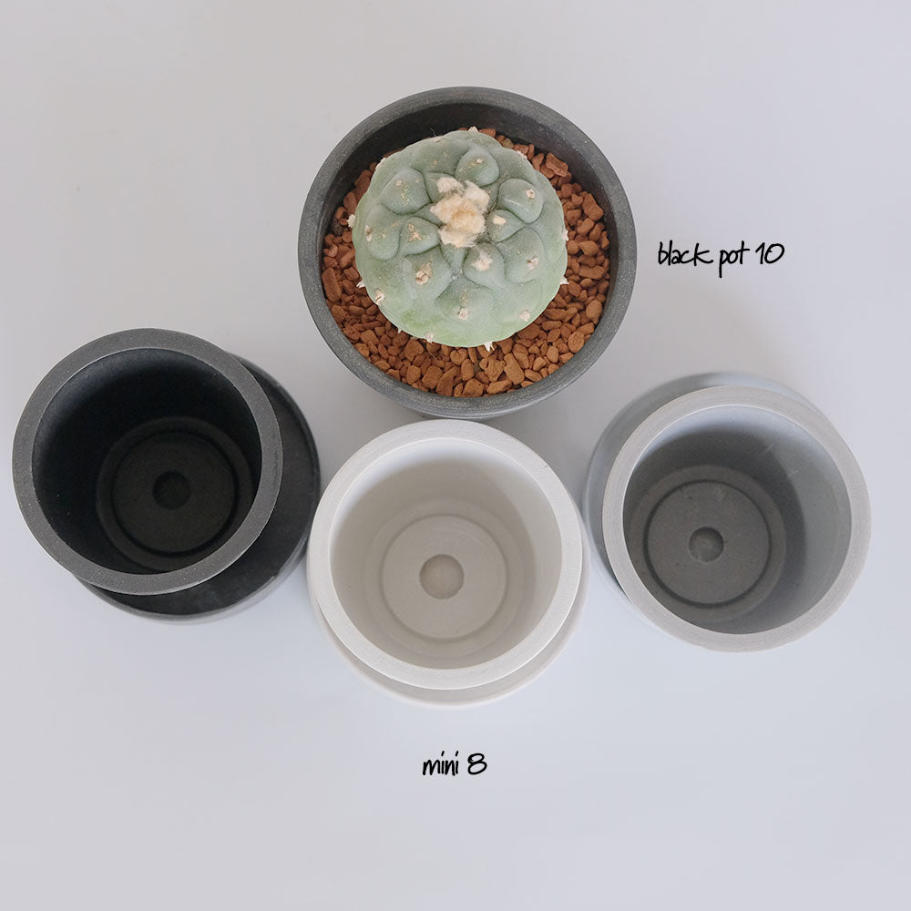 植木鉢 おしゃれ 軽い プラポット mini 8 サボテン 頑丈 塊根植物 多肉 黒プラスチック鉢 コーデックス