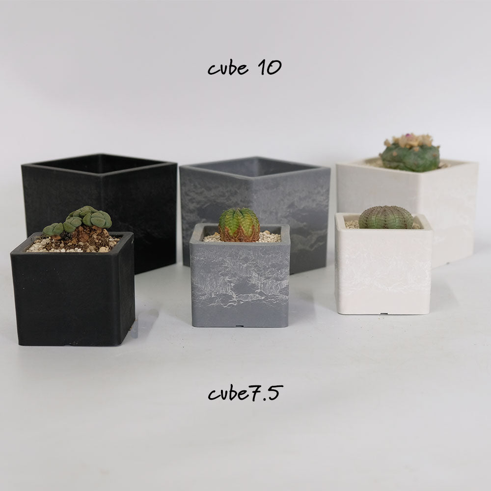 植木鉢 キューブS 7.5 頑丈 プラ鉢 角鉢