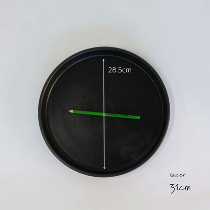 ブラックポット用受皿 31cm  サボテン 頑丈 おしゃれ 塊根植物 多肉 黒プラスチック鉢  コーデックス