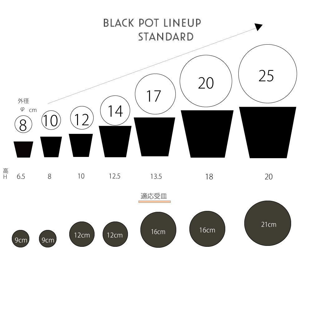 プラ鉢 ホワイトポット 10 サボテン 頑丈 おしゃれ塊根植物 多肉 黒プラスチック鉢 ミニ コーデックス
