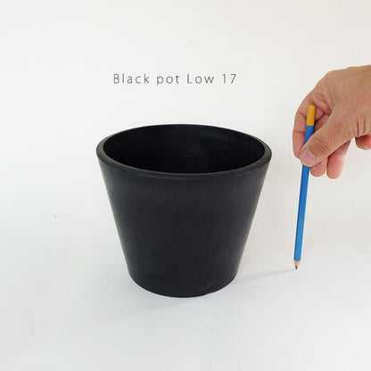 植木鉢 ブラックポット17 black plastic pot 頑丈 おしゃれ 塊根植物 多肉 黒プラスチック鉢 径17cm 高さ13.5cm スタンダード