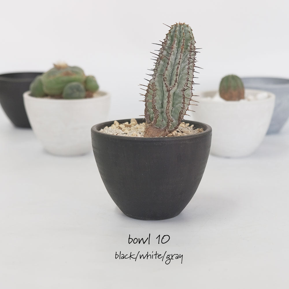 植木鉢 プラ鉢 おしゃれ 軽い プラポット mini bowl 8マーブル 頑丈 塊根植物 多肉 黒プラスチック鉢