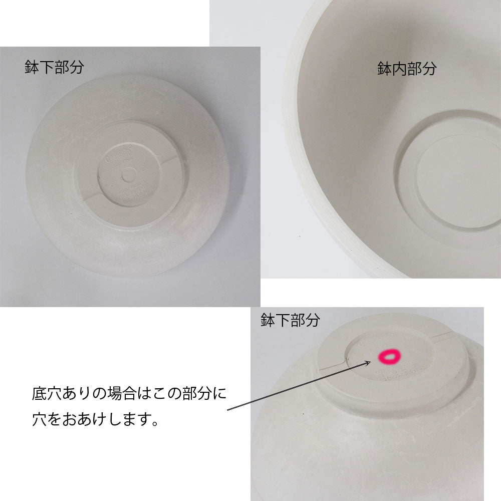 植木鉢 プラ鉢 ホワイトポット タフbowl 50 サボテン 頑丈おしゃれ 塊根植物 多肉 コーデックス メダカ 睡蓮鉢