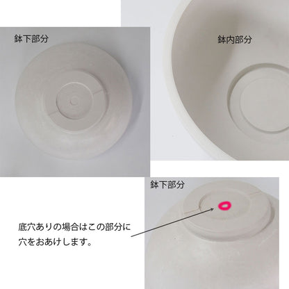 植木鉢 プラ鉢 ホワイトポット タフbowl 50 サボテン 頑丈おしゃれ 塊根植物 多肉 コーデックス メダカ 睡蓮鉢