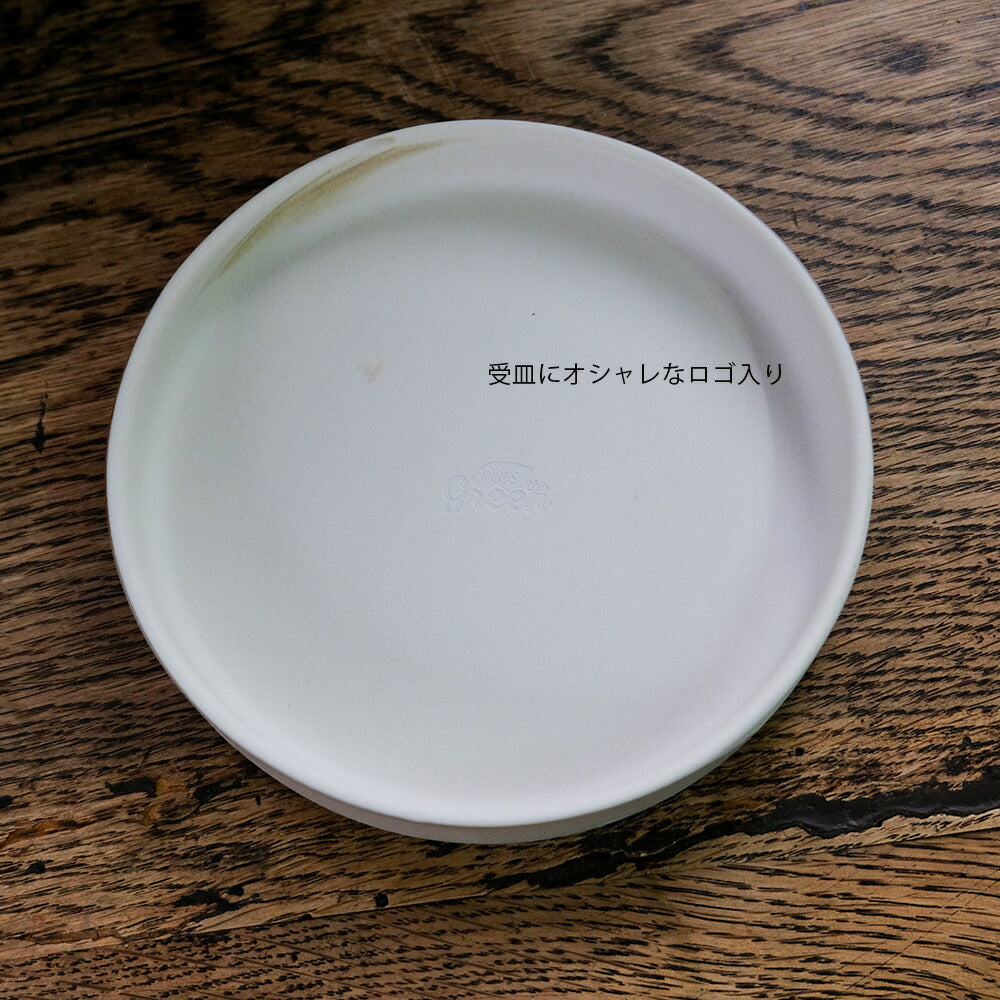FIKA POT フィーカポット 浅鉢 植木鉢 受皿付  寄せ植え 多肉種 盆栽 シンプル  マーブル 陶器鉢 径15.5cm 高6.5cm 底穴あり