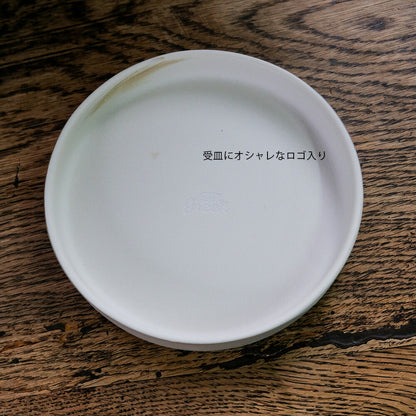 FIKA POT フィーカポット 浅鉢 植木鉢 受皿付  寄せ植え 多肉種 盆栽 シンプル  マーブル 陶器鉢 径15.5cm 高6.5cm 底穴あり