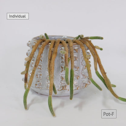 植木鉢 ユニーク individual pot FK 陶器鉢 底穴あり セラミックポット 変形鉢