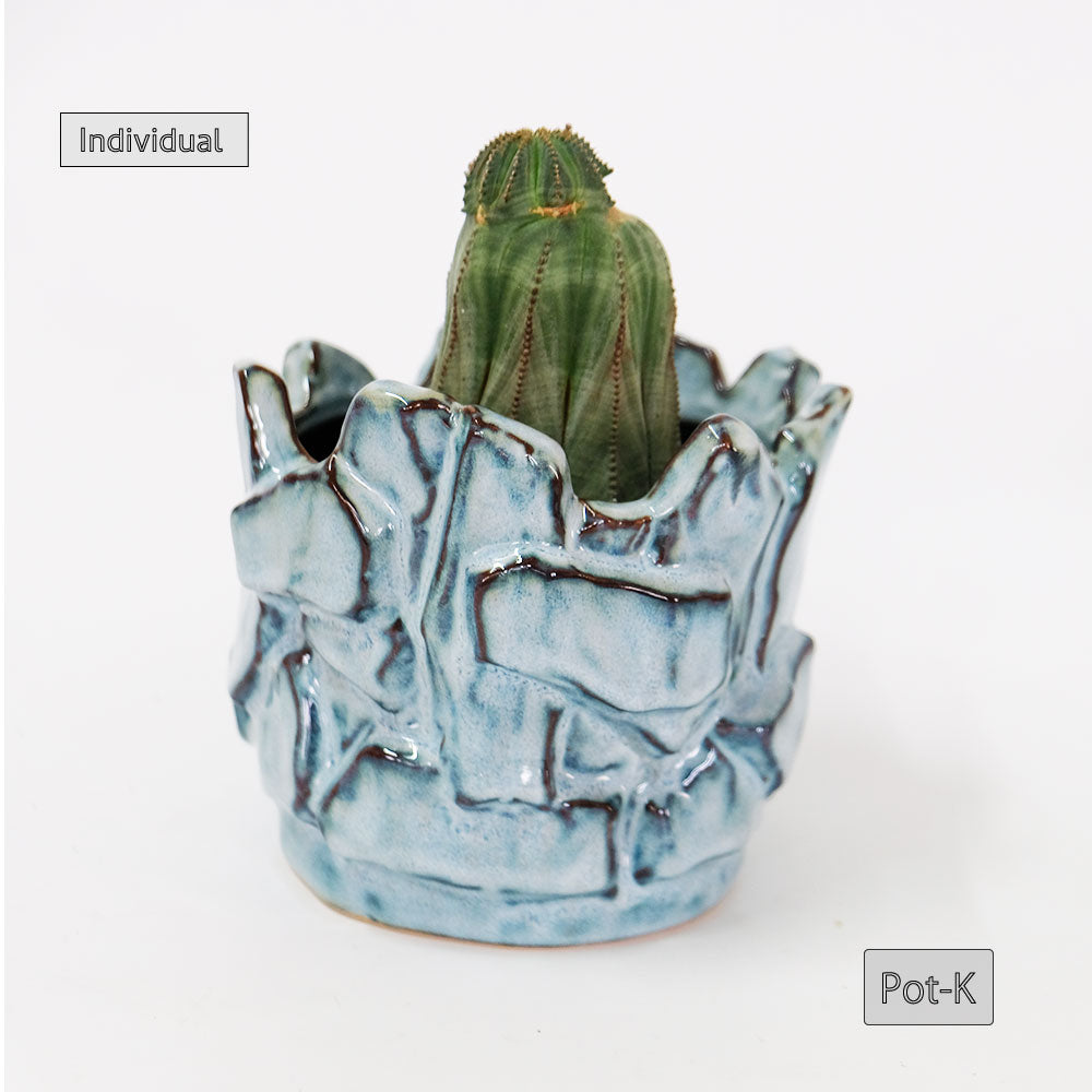 植木鉢 ユニーク individual pot FK 陶器鉢 底穴あり セラミックポット 変形鉢