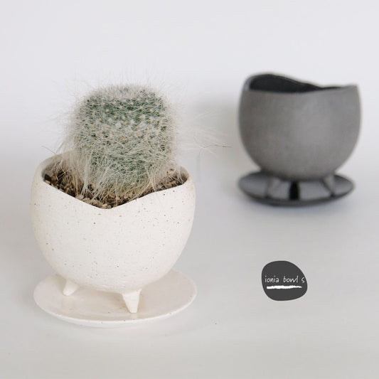 植木鉢 おしゃれ 陶器鉢 イオニアボウル 受皿付 ポット セラミック 径10.5cm 高9cm 3号 変わり鉢 白鉢 黒鉢 底穴あり