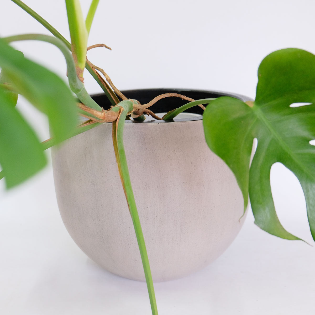 植木鉢  陶器コンカーラウンドM35  おしゃれ ファイバーセメント 屋外OK 底穴あり 径36cm 高30cm 底穴あり