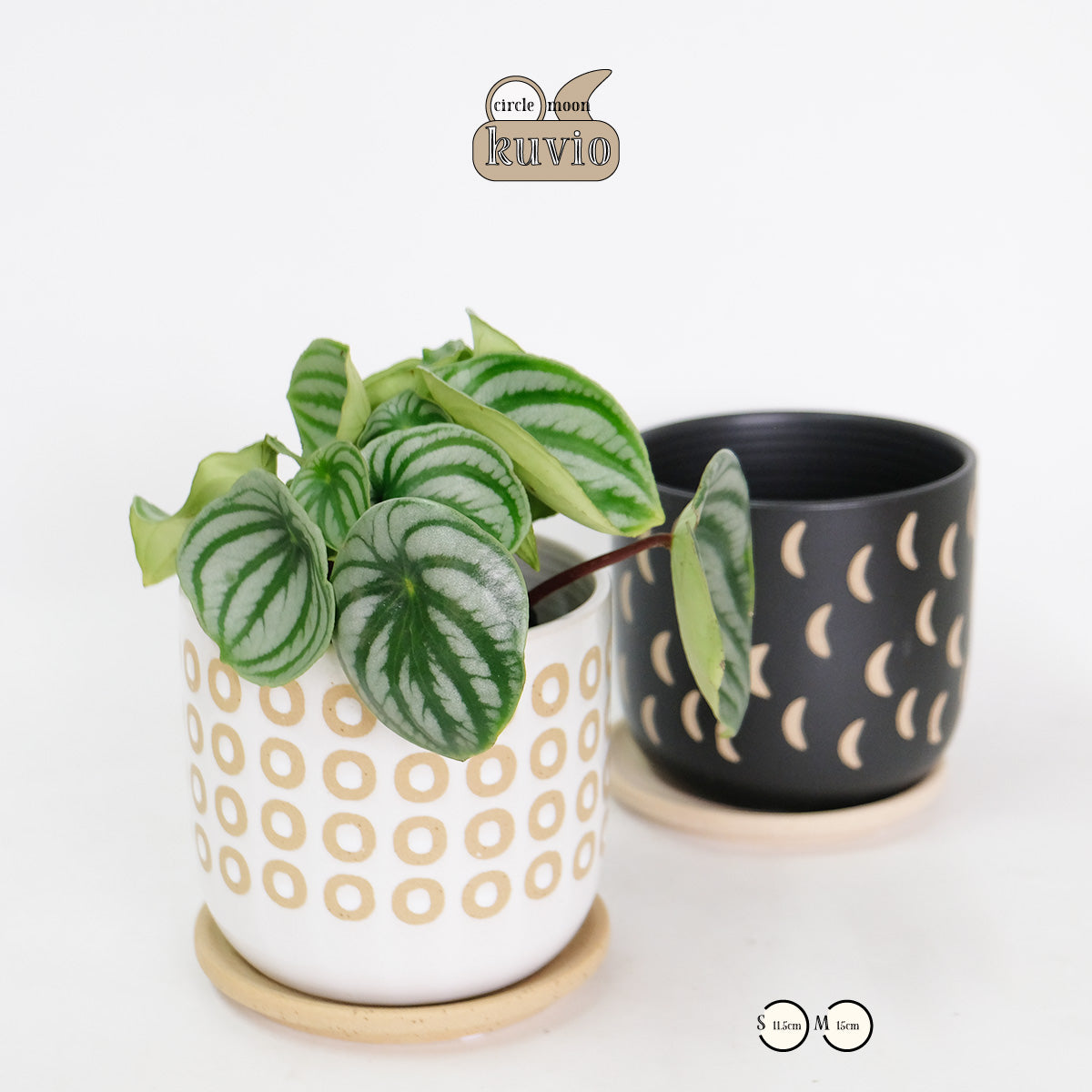 植木鉢 おしゃれ Kuvio 陶器鉢 かわいい 受皿付 トロンコ tronco S径11.5cm 高さ11.5cm M径15cm 高さ14cm ホワイト ブラック