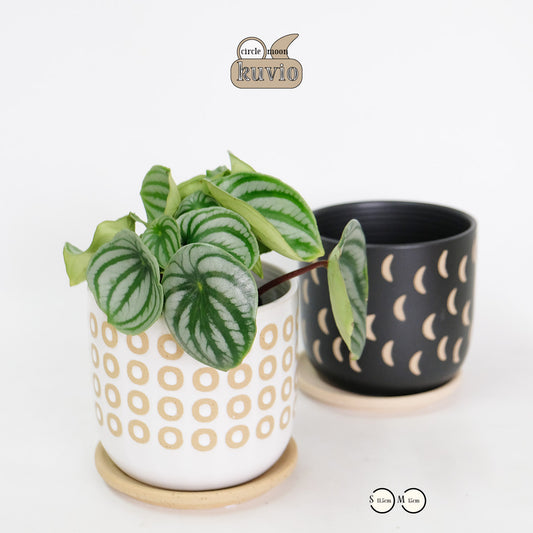 植木鉢 おしゃれ Kuvio 陶器鉢 かわいい 受皿付 トロンコ tronco S径11.5cm 高さ11.5cm M径15cm 高さ14cm ホワイト ブラック