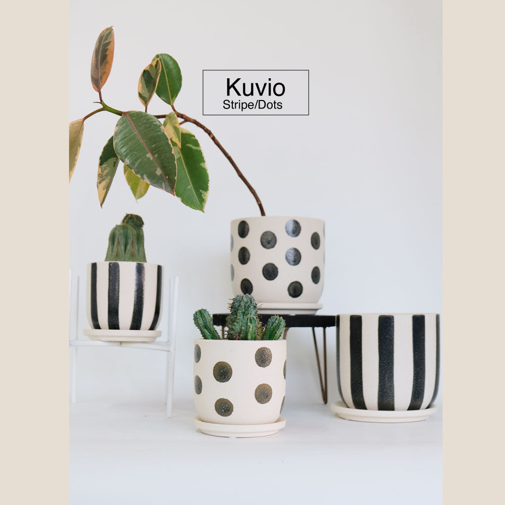 植木鉢 おしゃれ Kuvio Stripe/Dots 陶器鉢 かわいい 受皿付 トロンコ tronco ホワイト ブラック