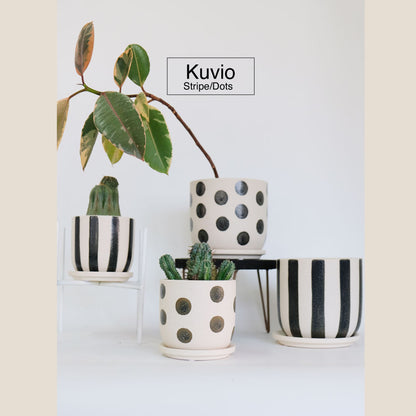 植木鉢 おしゃれ Kuvio Stripe/Dots 陶器鉢 かわいい 受皿付 トロンコ tronco ホワイト ブラック