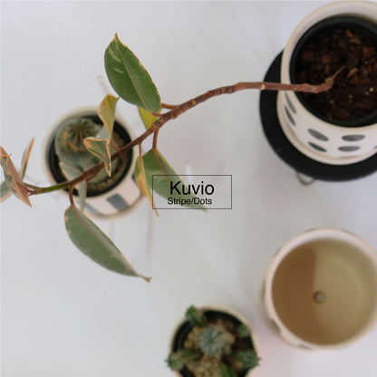 植木鉢 おしゃれ Kuvio Stripe/Dots 陶器鉢 かわいい 受皿付 トロンコ tronco ホワイト ブラック