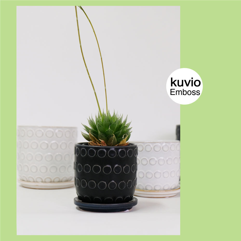 植木鉢 おしゃれ Kuvio Emboss 陶器鉢 かわいい 受皿付 トロンコ tronco ホワイト ブラック
