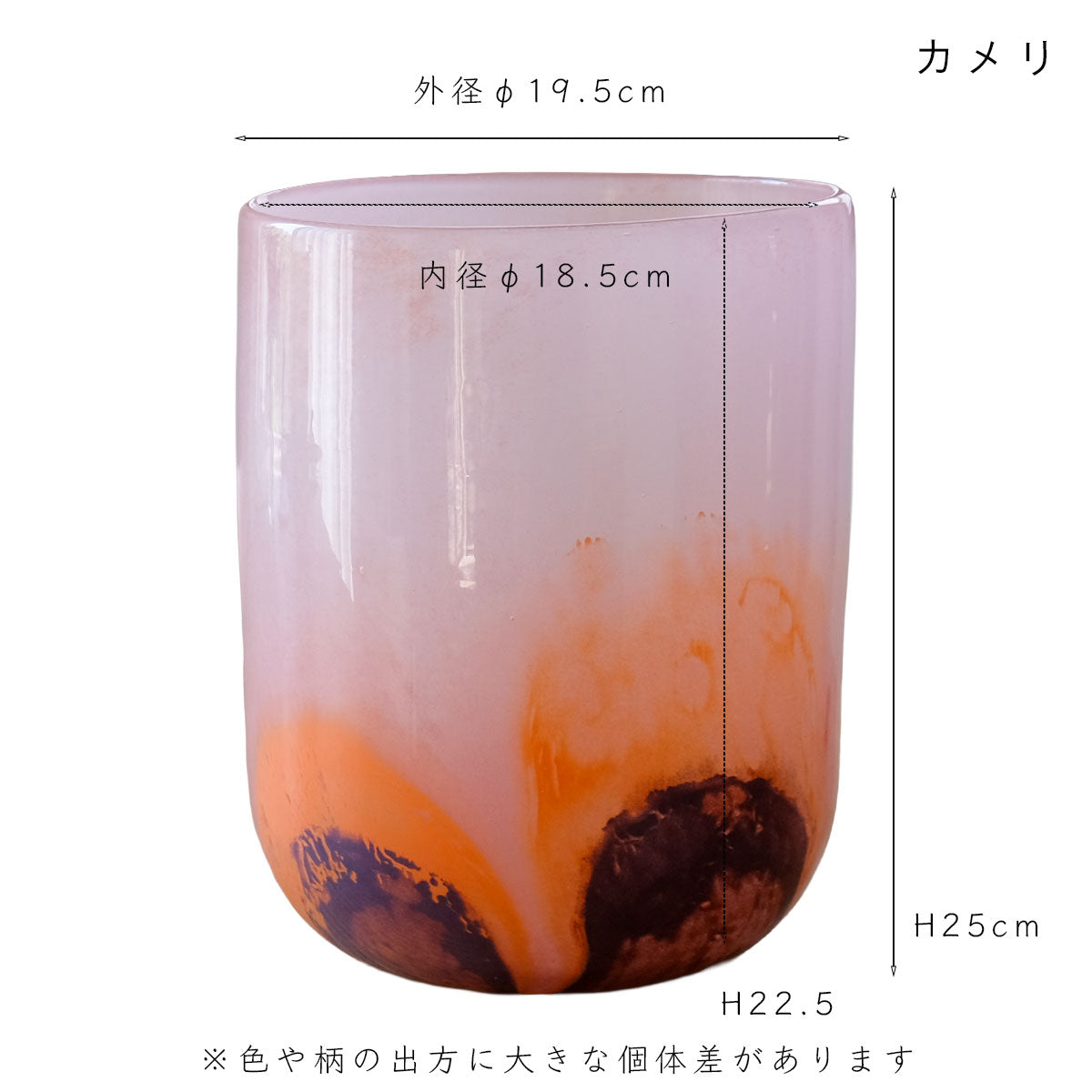 ガラス鉢カバーカメリ・カミエ  マイア maia グラスプランター