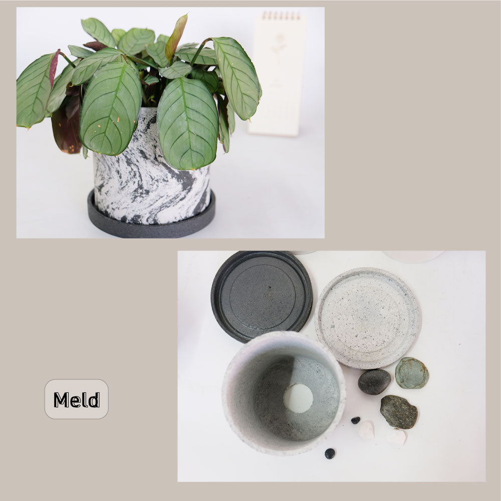 植木鉢 おしゃれ Meld 受皿付き 底穴有り 人口石材 シンプル シリンダー モノトーン シック 径10-13cm 高10-13cm S/Mサイズ  tronco