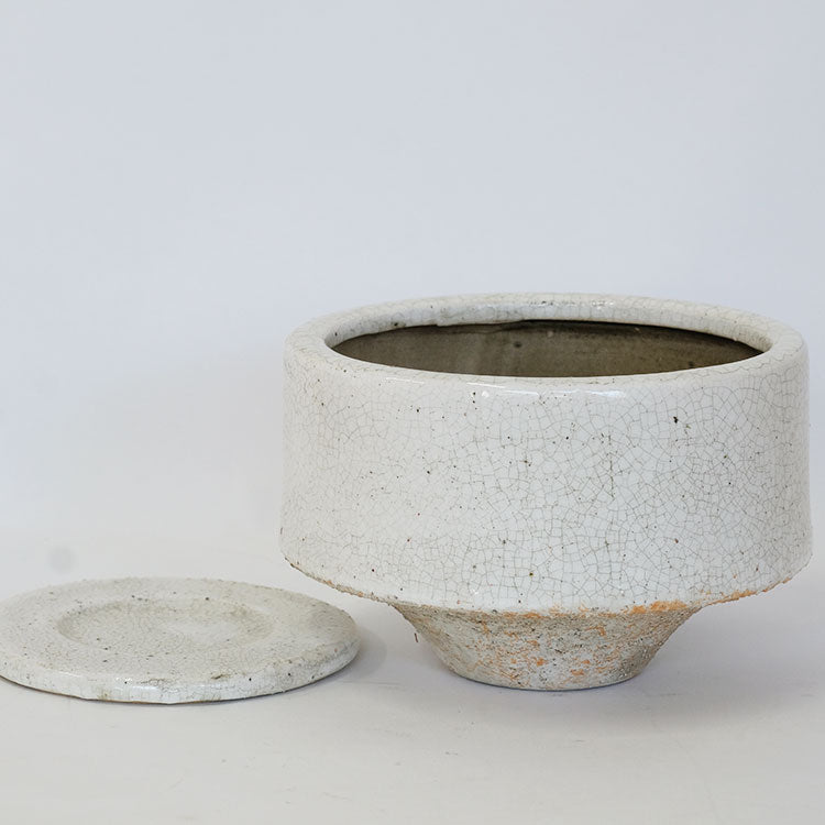 植木鉢 おしゃれ まつほL 受皿付き 陶器鉢 径15cm 高10cm 底穴あり