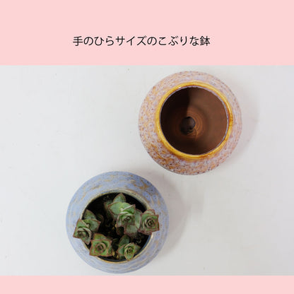 植木鉢 かわいい アバック S 陶器鉢 受皿付 径6cm 高7cm セミックポット 底穴あり