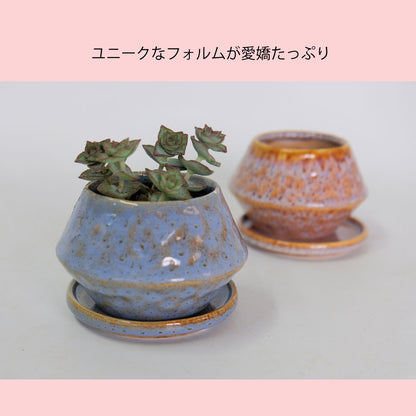 植木鉢 かわいい アバック S 陶器鉢 受皿付 径6cm 高7cm セミックポット 底穴あり