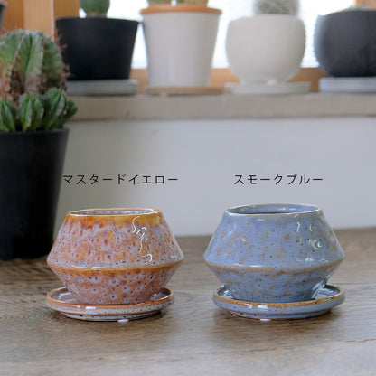 植木鉢 かわいい アバック S 陶器鉢 受皿付 径6cm 高7cm セミックポット 底穴あり