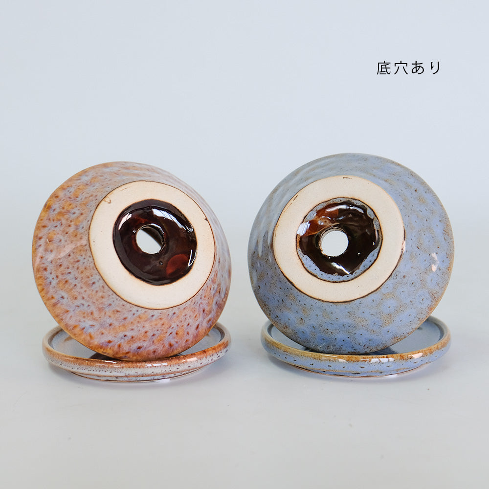 植木鉢 かわいい アバック S 陶器鉢 受皿付 径6cm 高7cm セミックポット 底穴あり