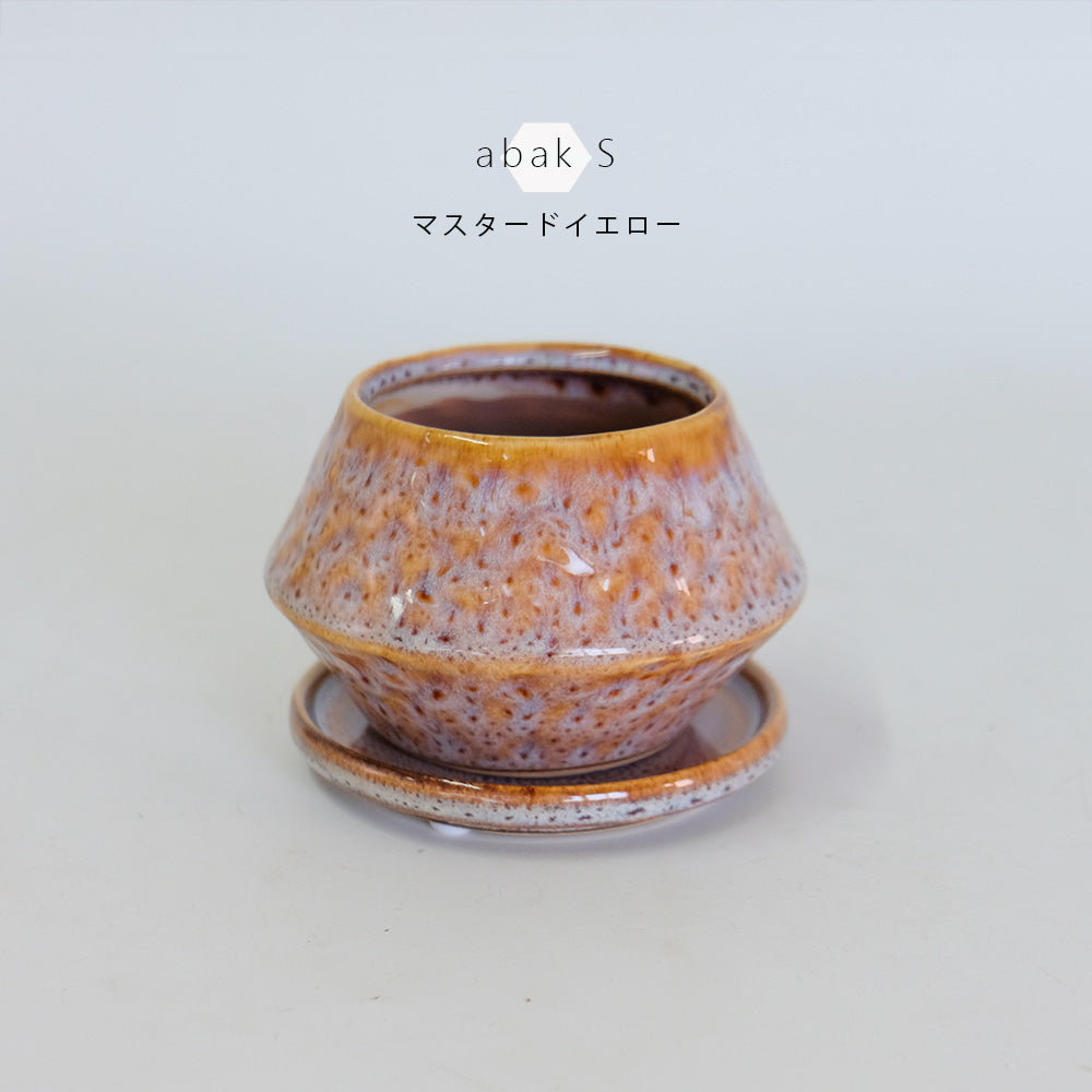 植木鉢 かわいい アバック S 陶器鉢 受皿付 径6cm 高7cm セミックポット 底穴あり