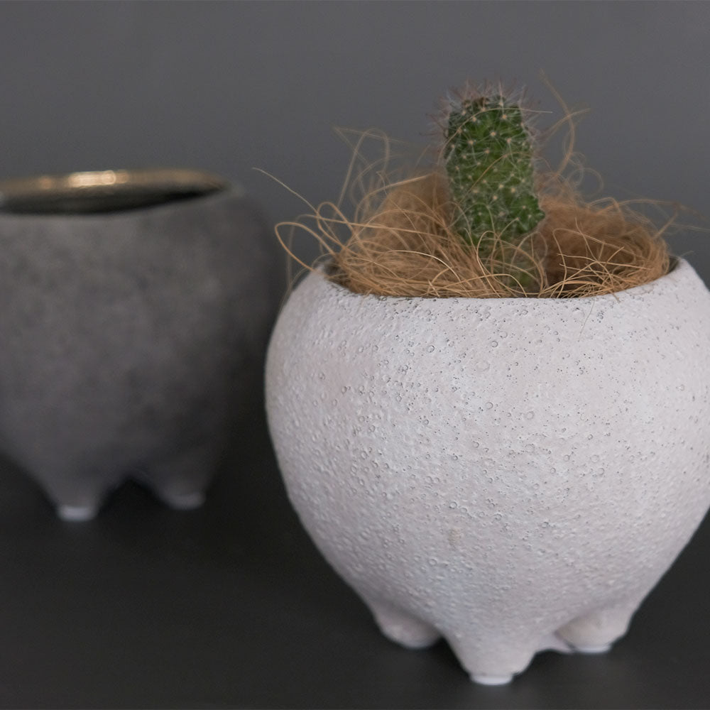 はなのさとS 植木鉢 おしゃれ 和洋折衷 径11.5cm 高10cm 底穴あり