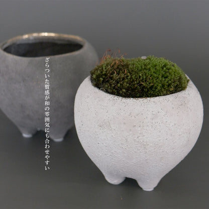 はなのさとS 植木鉢 おしゃれ 和洋折衷 径11.5cm 高10cm 底穴あり