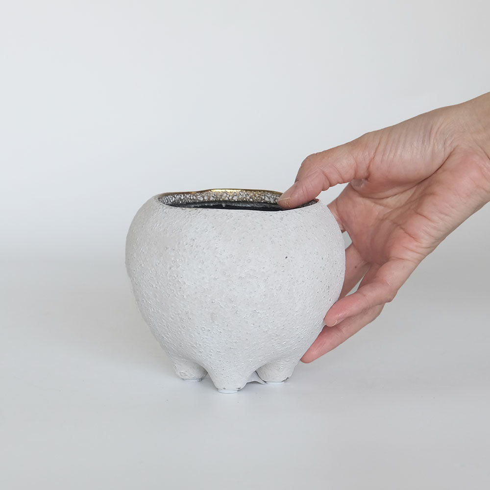 はなのさとS 植木鉢 おしゃれ 和洋折衷 径11.5cm 高10cm 底穴あり